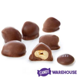 Brach's Double Dippers Milk Chocolate Covered Peanuts: 12-Ounce Bag -Candy Promotion Store brach s double dippers milk chocolate covered peanuts 12 ounce bag candy warehouse 3 6c5445c4 b288 498f b1a5 4083f6aed8f9