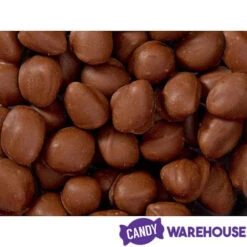 Brach's Double Dippers Milk Chocolate Covered Peanuts: 12-Ounce Bag -Candy Promotion Store brach s double dippers milk chocolate covered peanuts 12 ounce bag candy warehouse 4 7a6bd210 22d2 46b8 86dc 4fa28e85147b