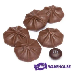 Brach's Milk Chocolate Stars Candy Drops: 10.5-Ounce Bag 8 Brach's Milk Chocolate Stars Candy Drops: 10.5-Ounce Bag -Candy Promotion Store brach s milk chocolate stars candy drops 10 5 ounce bag candy warehouse 3