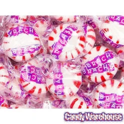 Brach's Peppermint Star Brites Mints Candy: 300-Piece Bag -Candy Promotion Store brach s peppermint star brites mints candy 300 piece bag candy warehouse 4