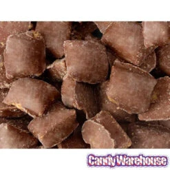 Butterfinger Bites: 8-Ounce Bag -Candy Promotion Store butterfinger bites 8 ounce bag candy warehouse 3