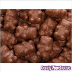 Chocolate Covered Cinnamon Bears: 14-Ounce Bag -Candy Promotion Store chocolate covered cinnamon bears 14 ounce bag candy warehouse 3