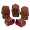 Chocolate Covered Cinnamon Bears: 3LB Bag