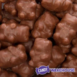 Chocolate Covered Cinnamon Bears: 3LB Bag -Candy Promotion Store chocolate covered cinnamon bears 3lb bag candy warehouse 3 09c9fde5 5480 4125 bc3e 99c47ff0568d