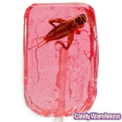 Cricket Lollipops: 36-Piece Box -Candy Promotion Store cricket lollipops 36 piece box candy warehouse 4