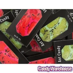 Edible Ant Farm Candy Packs: 24-Piece Box -Candy Promotion Store edible ant farm candy packs 24 piece box candy warehouse 3 b93032bc 2f4f 4996 bd7b 5dc8642b6554