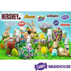 Hershey's Kisses Pastel Foiled Milk Chocolate Candy: 100-Piece Bag -Candy Promotion Store hershey s kisses pastel foiled milk chocolate candy 100 piece bag candy warehouse 3 f29708b3 1414 4911 8def df7c2d7f5610