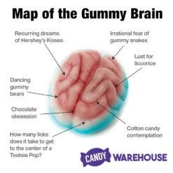 Jelly Filled Gummy Brains: 1KG Bag -Candy Promotion Store jelly filled gummy brains 1kg bag candy warehouse 3