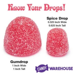 Jumbo Gumdrops Candy: 5LB Bag -Candy Promotion Store jumbo gumdrops candy 5lb bag candy warehouse 4 0840f1f6 a14c 40b8 a375 89b9c6d7583d
