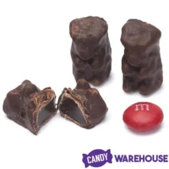 Koppers Dark Chocolate Covered Gummi Bears: 1LB Jar -Candy Promotion Store koppers dark chocolate covered gummi bears 1lb jar candy warehouse 3