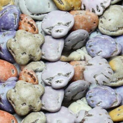 Candy Promotion Store 18 Koppers Mini Chocolate Candy Sea Shells: 5LB Bag