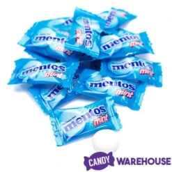 Mentos Mint Candy Single Packs: 385-Piece Bag -Candy Promotion Store mentos mint candy single packs 385 piece bag candy warehouse 4