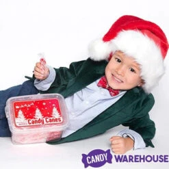 Mini Candy Canes - Red And White: 100-Piece Tub -Candy Promotion Store mini candy canes red and white 100 piece tub candy warehouse 3