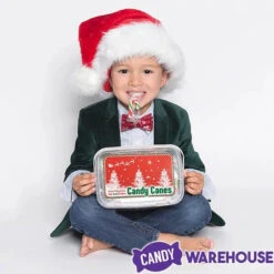 Mini Candy Canes - Red, Green, And White: 100-Piece Tub -Candy Promotion Store mini candy canes red green and white 100 piece tub candy warehouse 4