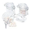 Mini Glass Favor Jars - 1.25-Ounce Canning Jar With Swing Top: 12-Piece Set