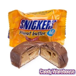 Snickers Fun Size Candy Bars Assortment: 45-Piece Bag -Candy Promotion Store snickers fun size candy bars assortment 45 piece bag candy warehouse 3