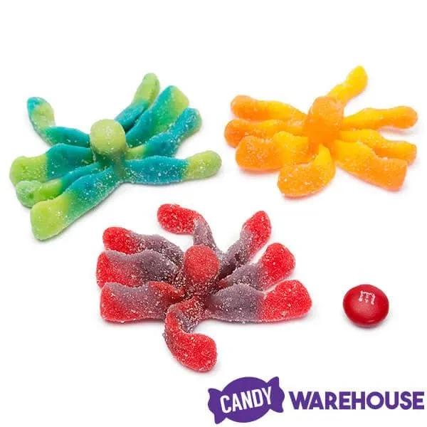 Trolli Sour Brite Gummy Octopus Candy: 5LB Bag 2 Trolli Sour Brite Gummy Octopus Candy: 5LB Bag - Image 2