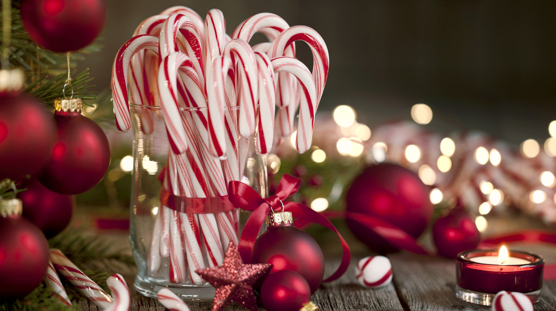 Candy Promotion Store 3 Candy Promotion Store -Candy Promotion Store 2